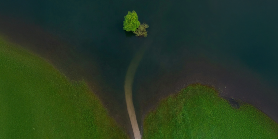 Climate disclosures coming to Australia