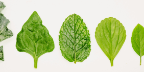 Who’s missing from your audit and risk committee?