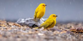 Why the same actions driving growth can also cut emissions