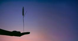 Public sector governance: Balancing purpose and pressure