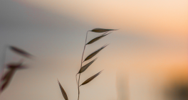 A seat at the water table