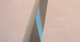 Global audit insights: converging risks and what directors must know