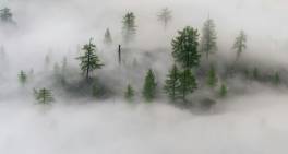 Capital markets reform submission supports reassessment of liability provisions