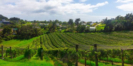 How intangible assets can boost the primary sector