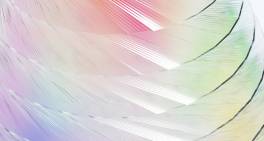 Why inclusion belongs in the boardroom