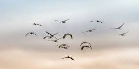 IMHO: The post-war consensus has gone