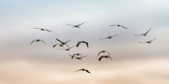 IMHO: The post-war consensus has gone