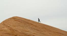 A time-sensitive opportunity for charities to build financial sustainability