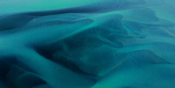 Institute of Directors Annual General Meeting 2025 report