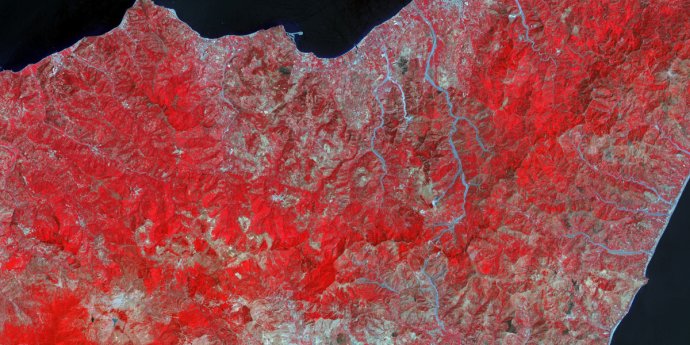 Role of AI in increasing sustainability and addressing climate change risks