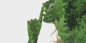 Muted voices: how greenhushing and media cuts stall climate conversations 