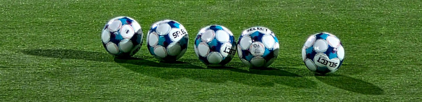Five blue-and-white soccer balls rest in a row on a sunlit green field, with a white sideline crossing the grass behind them; the scene feels calm and ready for play.