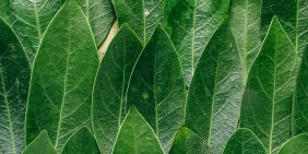 Better climate data, better business decisions