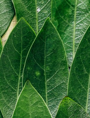 Better climate data, better business decisions