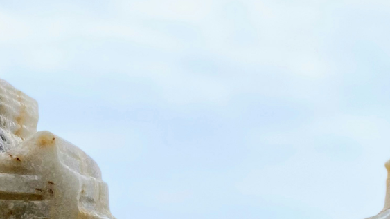 Board fees in Australia: scale drives pay gaps in private and NFP sectors