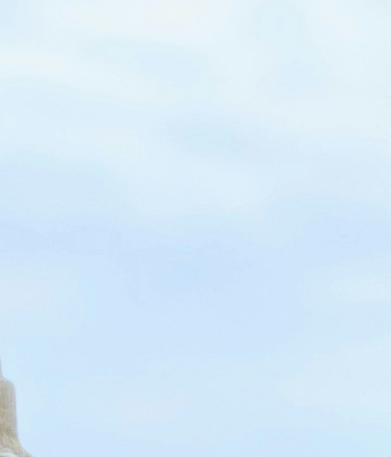 Board fees in Australia: scale drives pay gaps in private and NFP sectors