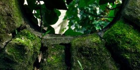Climate and nature target setting: A guide for boards and leadership 