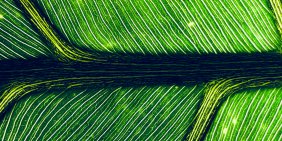 Climate risk is becoming a core business continuity issue