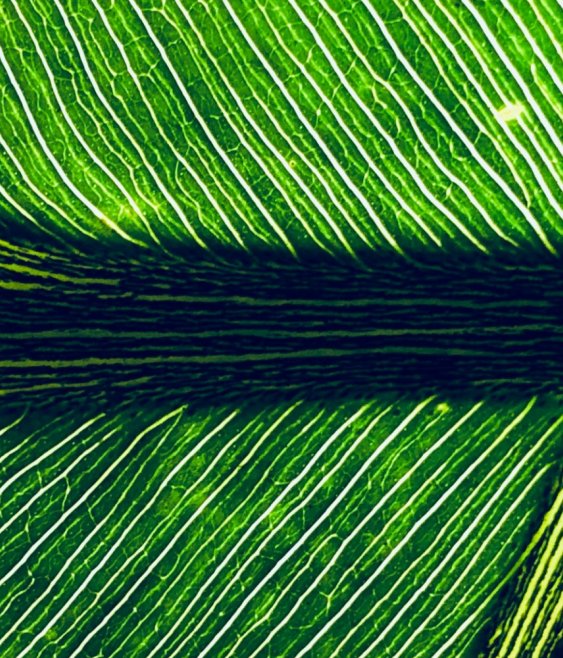 Climate risk is becoming a core business continuity issue