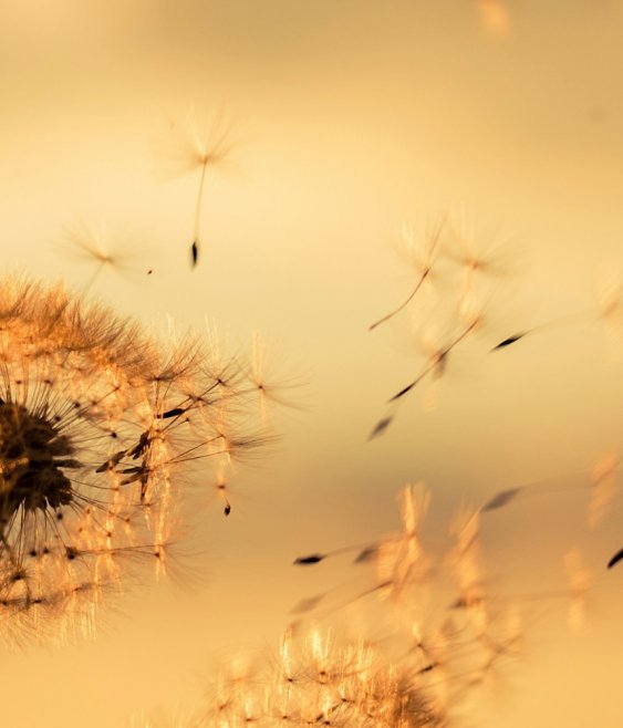 Global risks 2026: why waiting is no longer a governance option