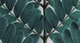 Employee ownership trusts: a potential solution for family business succession