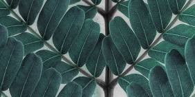 Employee ownership trusts: a potential solution for family business succession