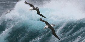 Emerging directors under pressure: inside a simulated governance crisis