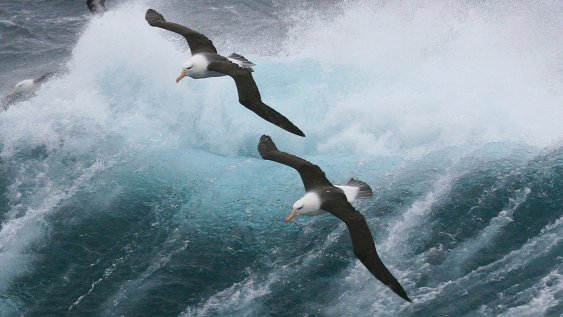 Emerging directors under pressure: inside a simulated governance crisis