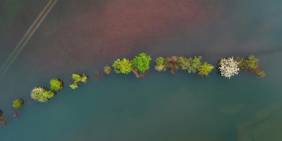 Fields of change: Governing sport for climate resilience