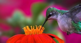 Financial quantification: from climate risk to value creation