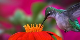 Financial quantification: from climate risk to value creation