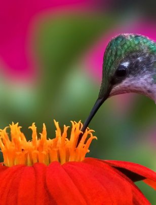 Financial quantification: from climate risk to value creation