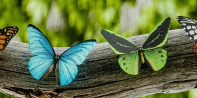 Fourteen IoD members recognised in New Year Honours