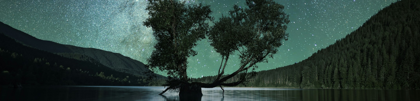 A stunning view of the Milky Way illuminates the night sky above a lone tree surrounded by calm lake waters.