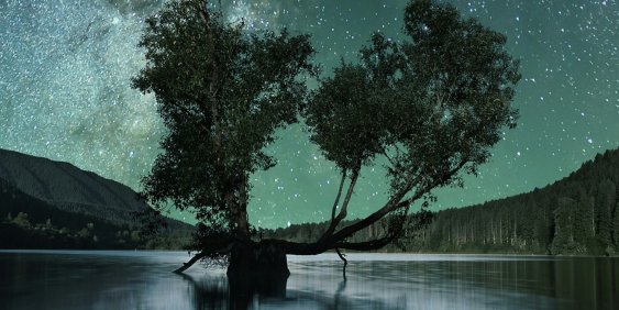 What Māori governance says about good governance