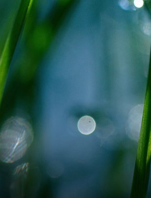 Holding the focus when disruption becomes routine