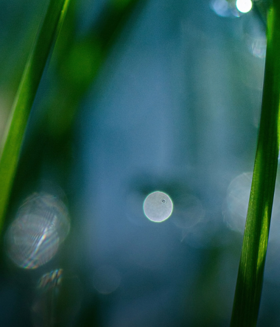 Holding the focus when disruption becomes routine