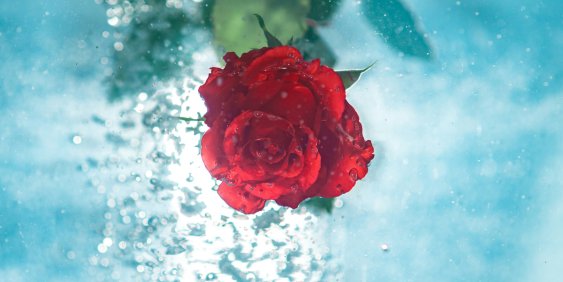 How to swim: Governance lessons for new water boards