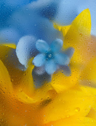 IMHO: Beyond flat-packs: What IKEA’s arrival means for purpose-driven governance