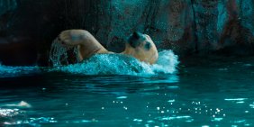 IMHO: Nature is the next material horizon