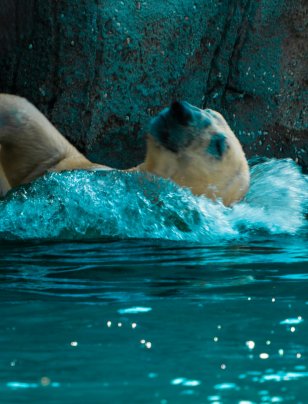 Nature is the next material horizon