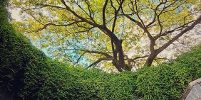 IMHO: Still talking ESG? It’s time to govern it