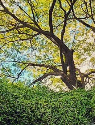 Still talking ESG? It’s time to govern it