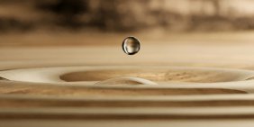 If the board didn’t meet, would anyone notice?