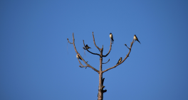 The importance of shared spaces – and being heard