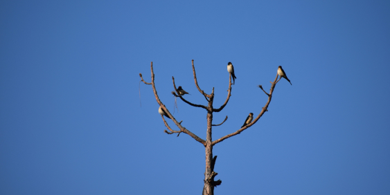 The importance of shared spaces – and being heard