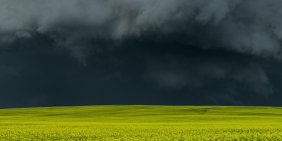 In the eye of the storm: how a CEO held the line