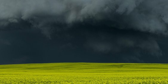 In the eye of the storm: how a CEO held the line
