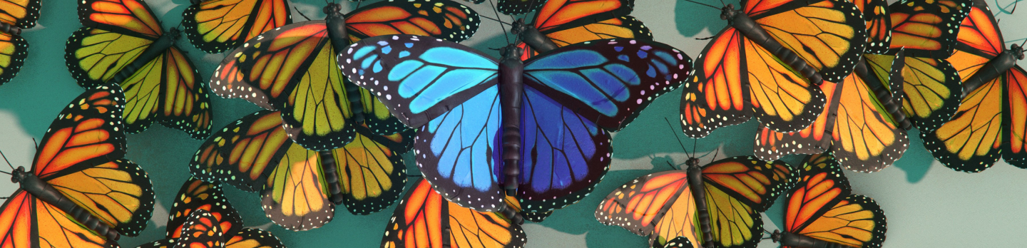 A group of colorful butterflies flying gracefully in a synchronized formation featuring a clear blue sky.