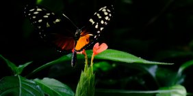 Leading with language and respect